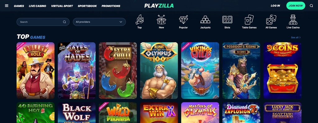 A Screenshot of PlayZilla.com